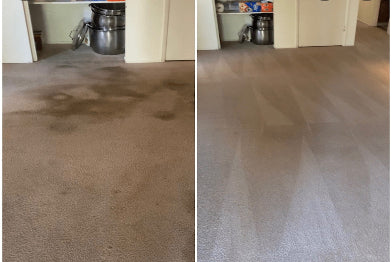 Basic Carpet Cleaning