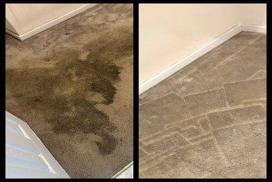 Deep Carpet Cleaning